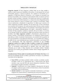 Yokochi Pdf Portugues